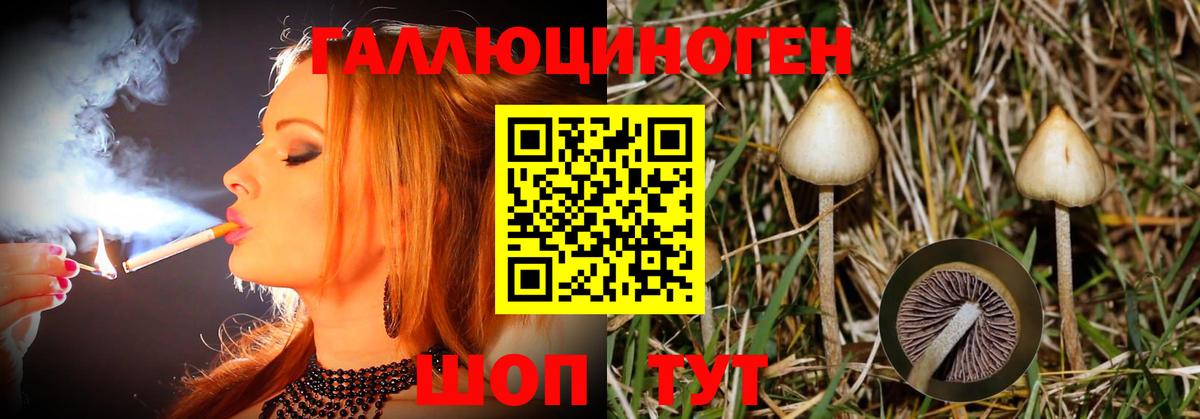 Среднеуральск  Галлюциногенные грибы прущие грибы  Вход с VPN 